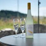 Tatil Evi Aura